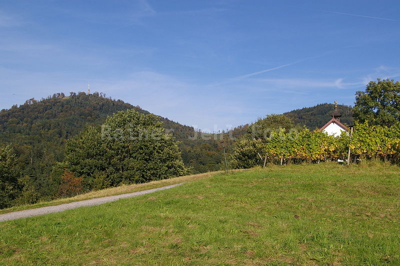 Kapelle Eckberg
Merkur - Kleiner Staufenberg