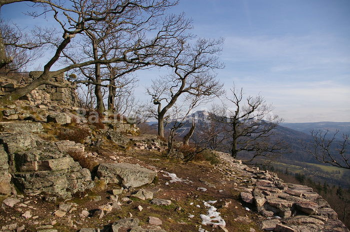 Ritterplatte