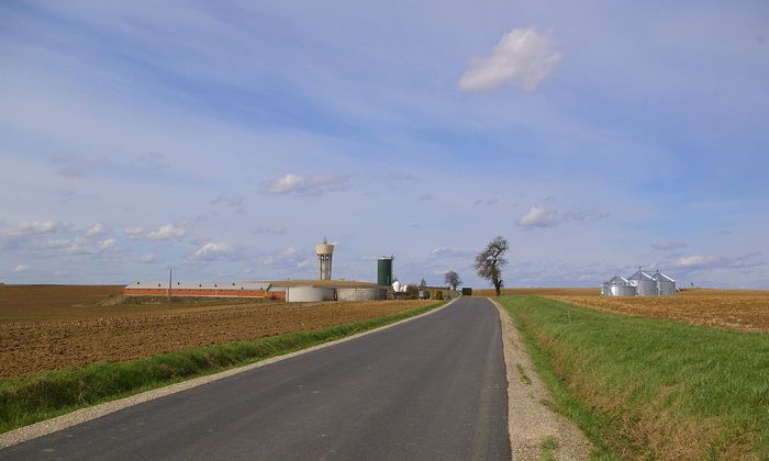 Elsass - bei Lauterbourg