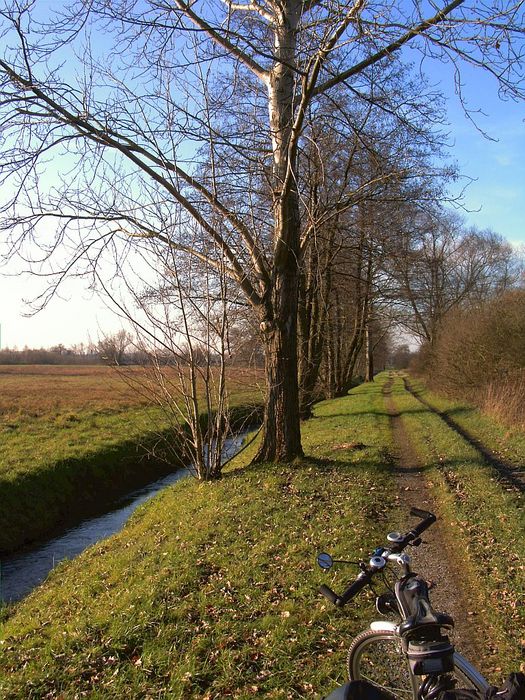 bei Steinbach - Herbst