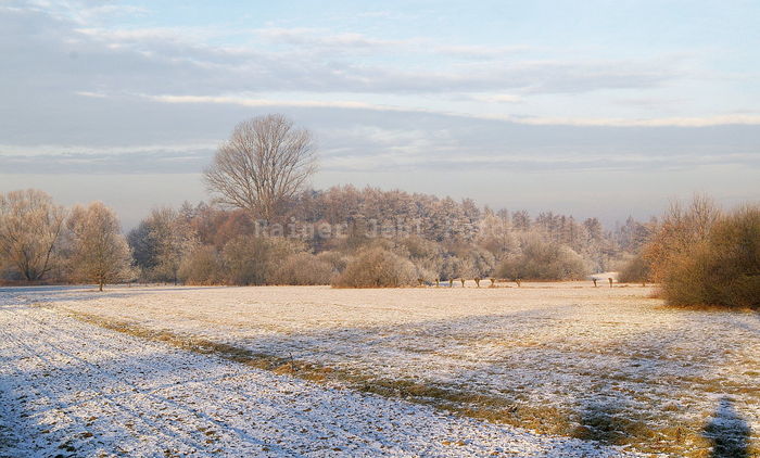 bei Sinzheim