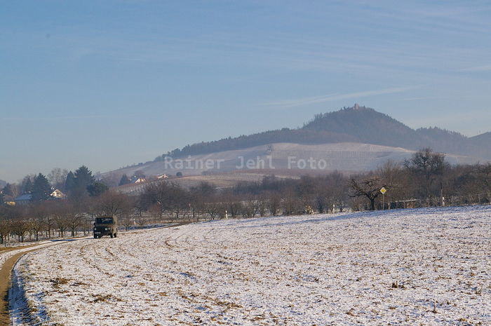 Yburg von Steinbach