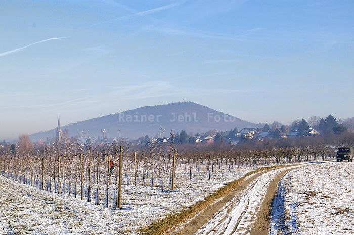 Steinbach - Fremersberg