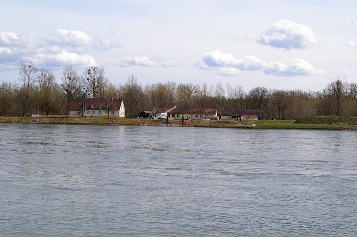Rhein bei Plittersdorf
alte Flussmeisterei