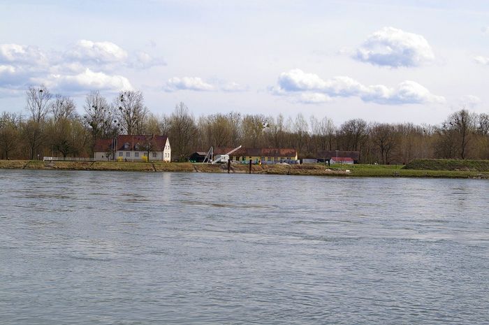 Rhein bei Plittersdorf
alte Flussmeisterei