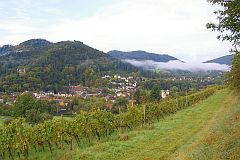 Kloster Lichtental
Leisberg - Waldeneck
vom Schafberg