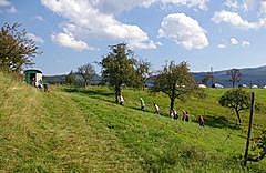 Schafberg in Lichtental
