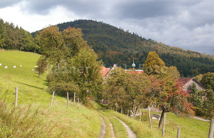 Hofgut Schafberg