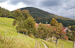 Hofgut Schafberg
