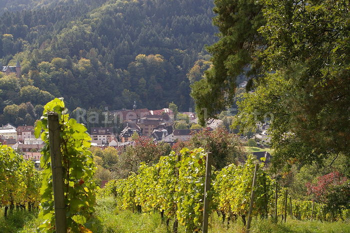 Kloster Lichtental
vom Schafberg