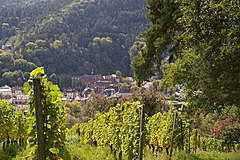 Kloster Lichtental
vom Schafberg