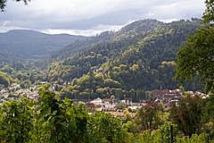 Lichtental vom Schafberg
Kloster Lichtental