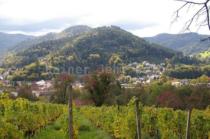 Leisberg - Lichtental