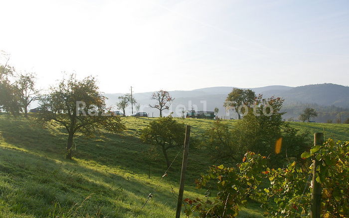 Schafberg