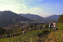 Schafberg - Herbst