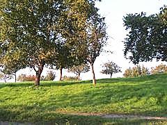 bei Balg