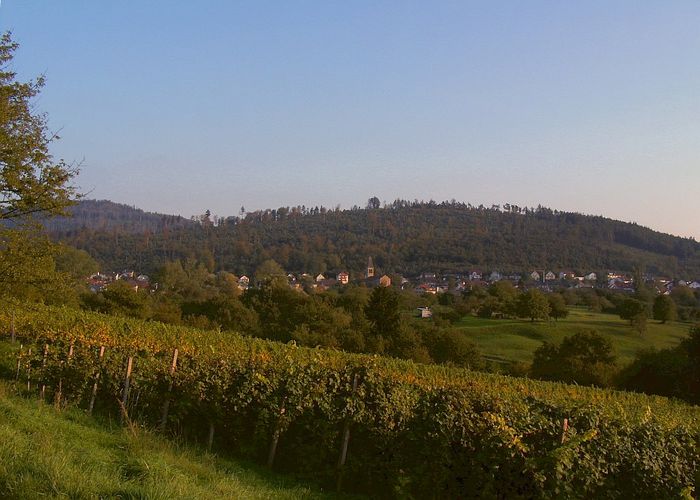 Balg - Hardberg