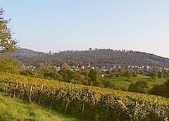 Balg - Hardberg